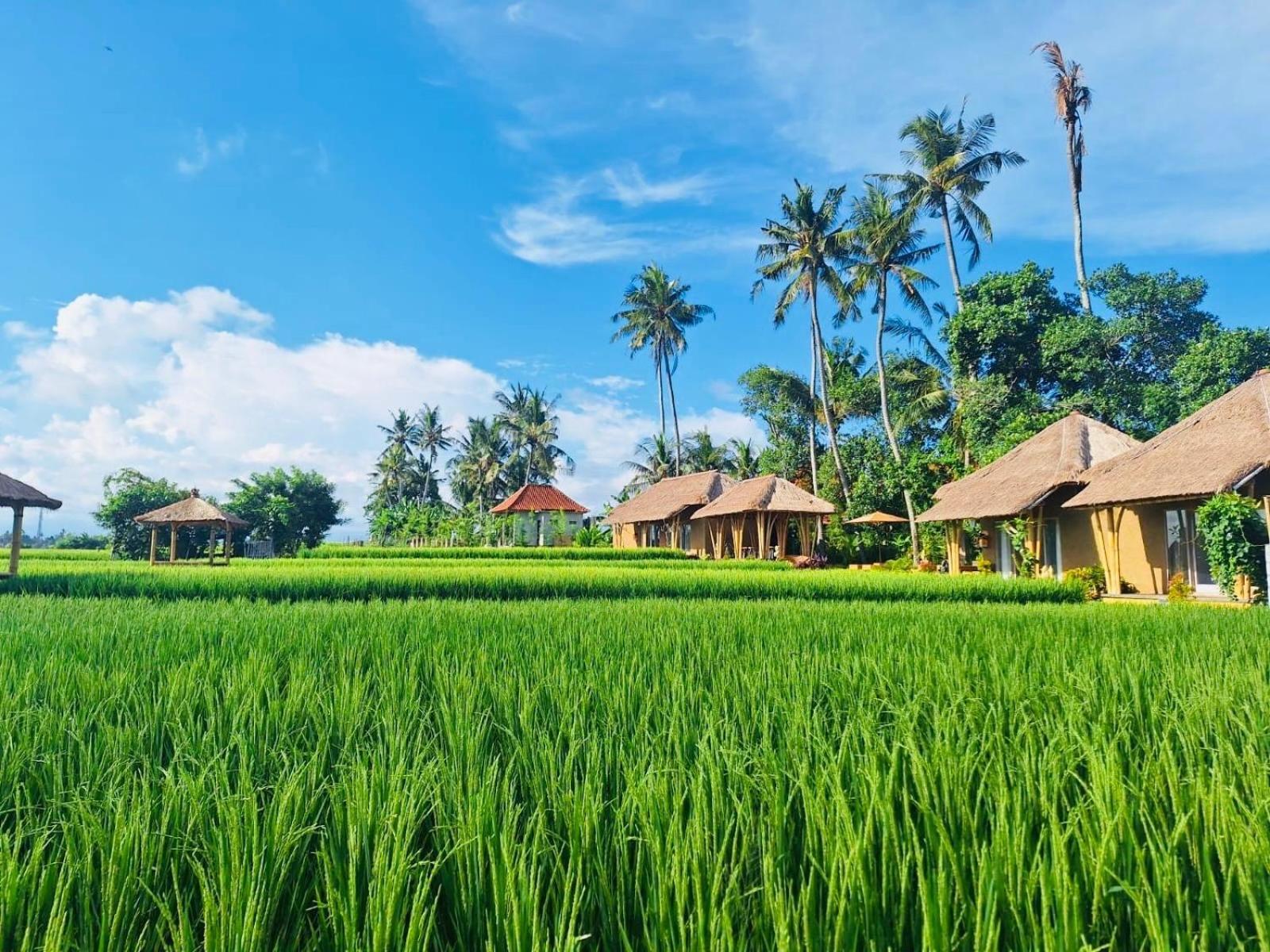 Rumah Kita Ecolodge Ubud Esterno foto