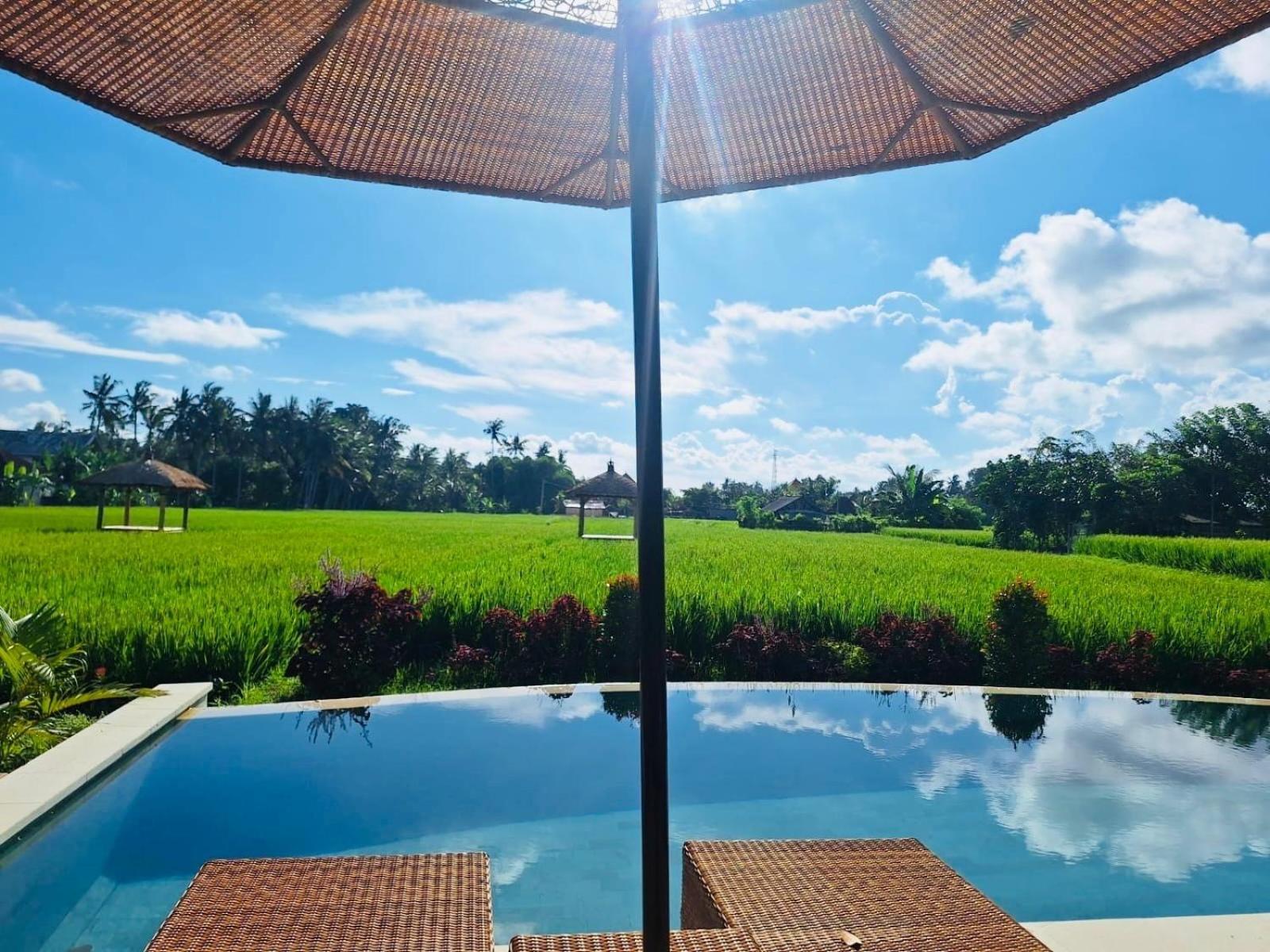 Rumah Kita Ecolodge Ubud Esterno foto
