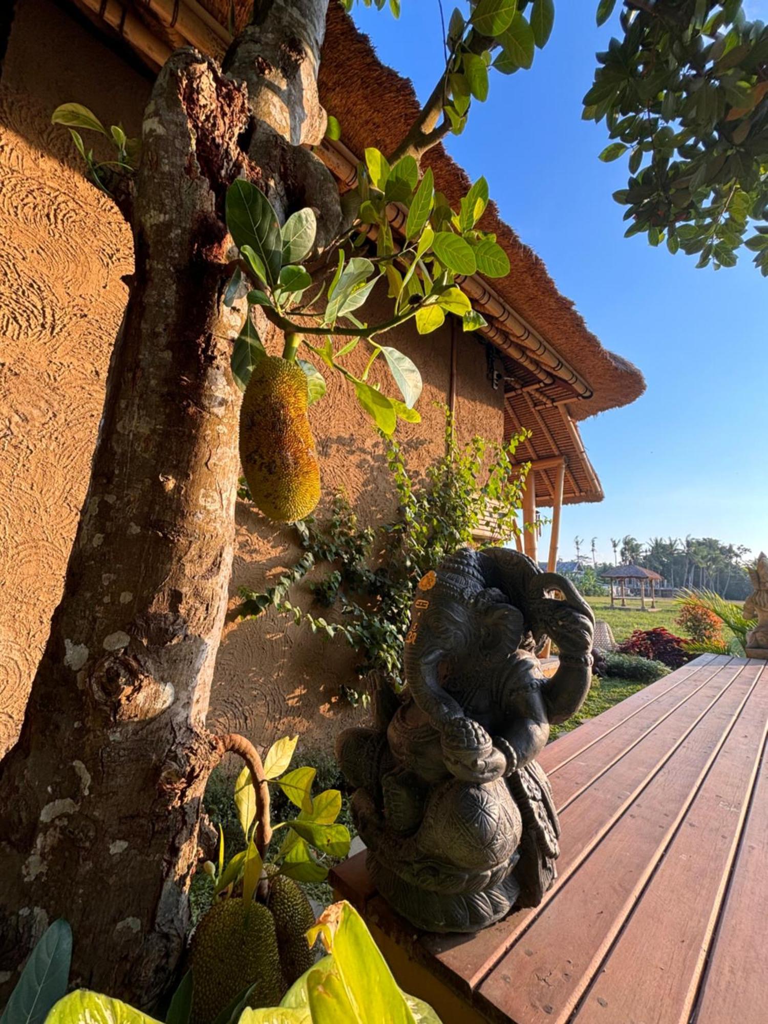 Rumah Kita Ecolodge Ubud Esterno foto