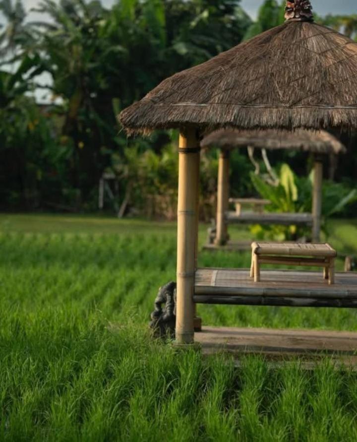 Rumah Kita Ecolodge Ubud Esterno foto